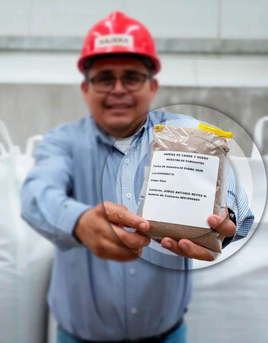 GRUPO GUSI PRODUCTOS